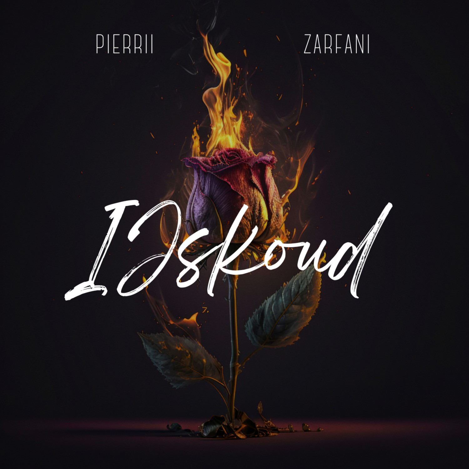 Pierrii x Zarfani – IJskoud