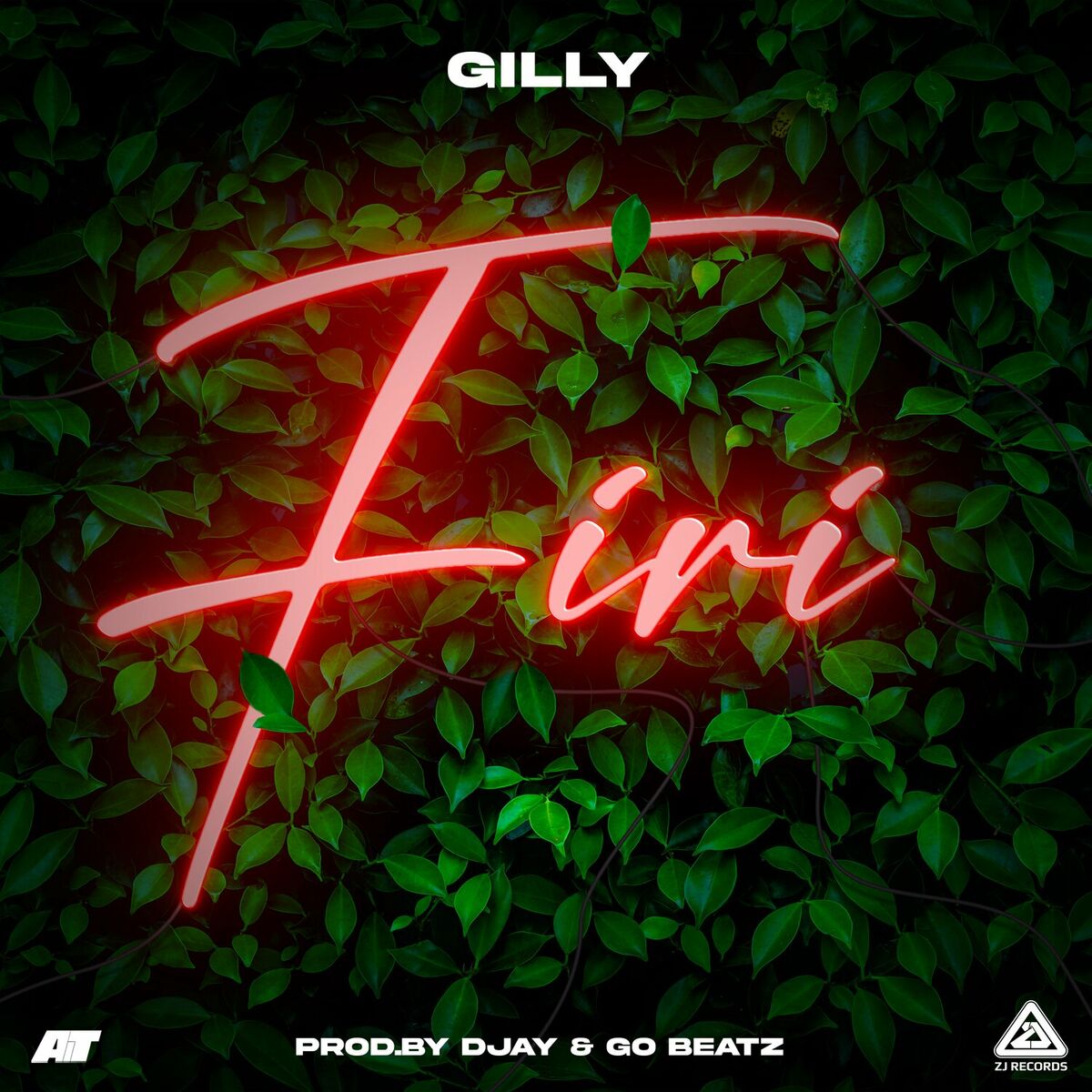 Gilly – Firi