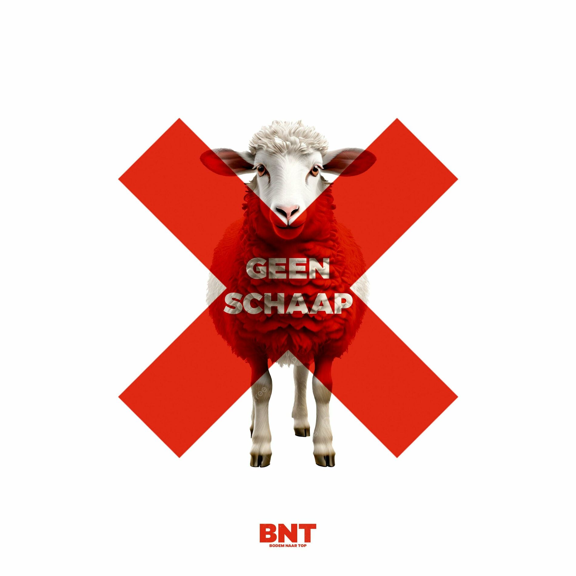Boufi – Geen Schaap